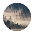 Fototapeta samoprzylepna okrągła naklejka ścienna las słońce mgła mgle