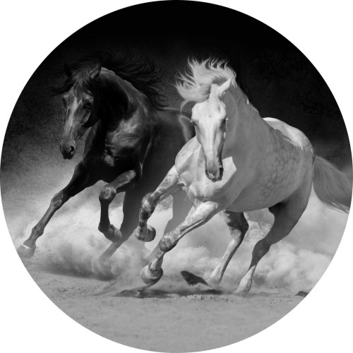 Fototapeta samoprzylepna okrągła naklejka ścienna konie koń siła galop