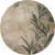 58-1.png