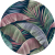 74-1.png