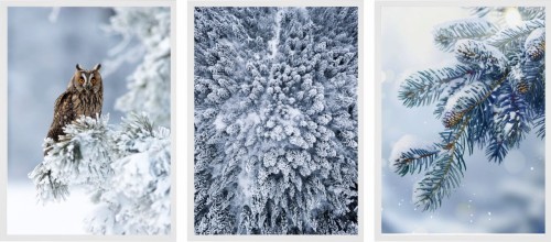 PLAKATY ZESTAW NA ZIMĘ na ścianę ZIMOWY KRAJOBRAZ ZIMA SOWA NATURA