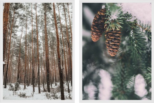 Plakaty ZESTAW PLAKATÓW ZIMOWYCH 30x40 cm LAS NATURA ZIMA ŚNIEG