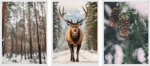 Plakat obrazki ZESTAW PLAKATÓW ŁOŚ ZIMOWY KLIMAT LAS NATURA