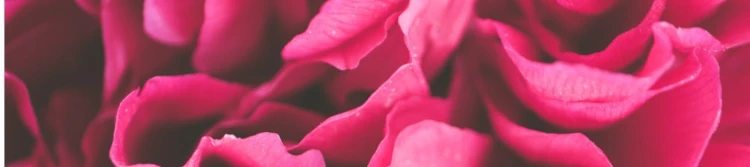 ft061r.jpg