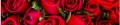 FOTOTAPETA DO KUCHNI ZMYWALNA róże red rose róża czerwony