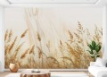 Fototapeta DO SALONU tapeta WYSOKIE TRAWY ZBOŻE CERIALIS