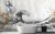 wst-360 w3.jpg