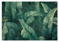 Fototapeta VERDE na ścianę do salonu sypialni TROPIKALNE ZIELONE LIŚCIE 