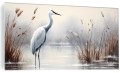 Obraz szklany natura ptak żuraw suche trawy obraz na szkle