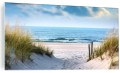 Obraz szklany Wydmy morze Bałtyckie trawy plaża obraz na szkle 
