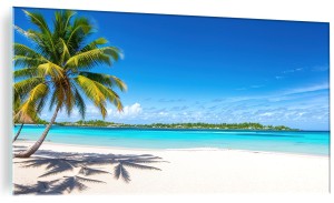 Obraz szklany Malediwy palmy liście palmy piasek obraz na szkle 