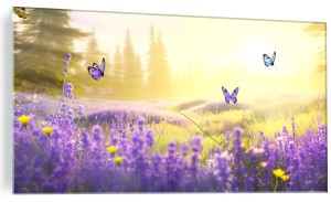 Obraz szklany letnia polana leśna kwiat lawendy motyle obraz szkle