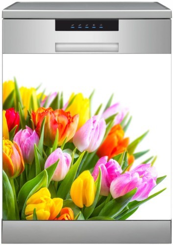 zm601 Tulipany Kolorowe .jpg