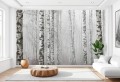 Fototapeta LAS BRZOZOWY BRZOZY do salonu sypialni FORESTA 