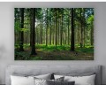 OBRAZ ZIELONY LAS DRZEWA MECH na płótnie CANVAS do salonu 