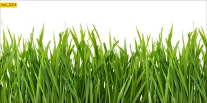 NAKLEJKI DO KUCHNI NA ŚCIANĘ LAMINAT Trawa Trawnik 