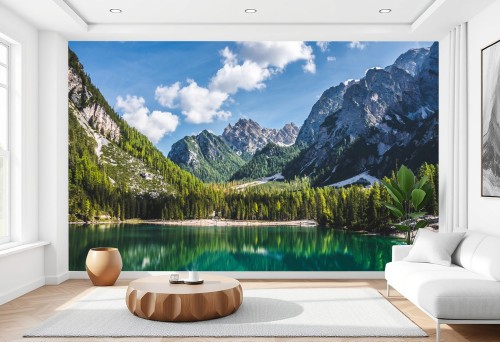 WST-611 W1.jpg