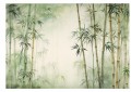 FOTOTAPETA zielony bambus las bambusowy  do salonu sypialni NATURE 