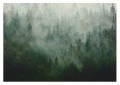 FOTOTAPETA mgła las drzewa FORESTA do salonu