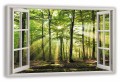 Obraz okno las drzewa słońce widok przez OKNO  