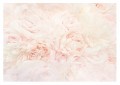 FOTOTAPETA delikatne kwiaty piwonie tło PEONY