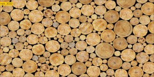 NAKLEJKI DO KUCHNI NA ŚCIANĘ LAMINAT Drewno Przekrój Pień