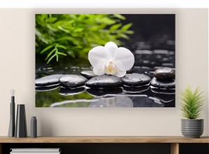 Obraz zen Biała Orchidea kamienie spa do salonu na płótnie 