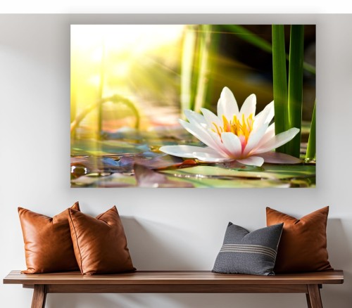 Obraz Lilia Wodna Staw Natura canvas na płótnie 