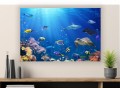 Obraz PODWODNY ŚWIAT OCEAN RYBY canvas na płótnie 