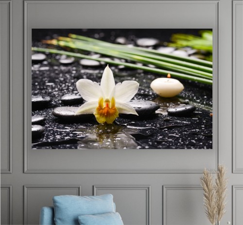 Obraz kwiat zen na płótnie do salonu sypialni biała Orchidea 