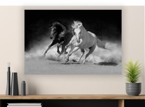 Obraz  KONIE GALOP na płótnie canvas obraz czarno biały