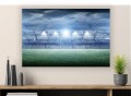obraz na płótnie canvas STADION MURAWA