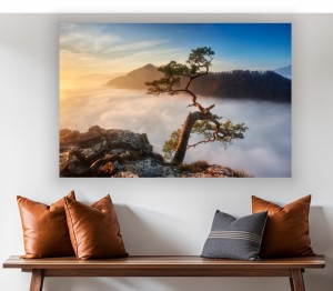 obraz na płótnie canvas SOKOLICA WSCHÓD SŁOŃCA