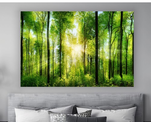 obraz na płótnie canvas SŁOŃCE LAS