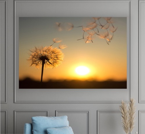 obraz na płótnie canvas SŁOŃCE DMUCHAWIEC 