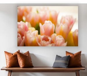 obraz na płótnie canvas Różowe Tulipany