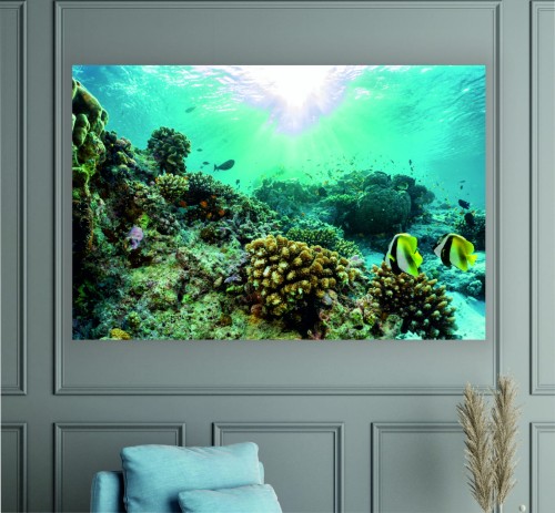 obraz na płótnie canvas RAFA KORALOWA