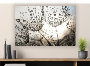 Obraz do salonu NATURA KROPLE ROSA canvas na płótnie