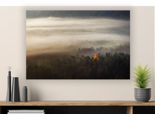 obraz na płótnie canvas MGLISTY LAS 
