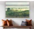 obraz na płótnie canvas mgła las drzewa mazury