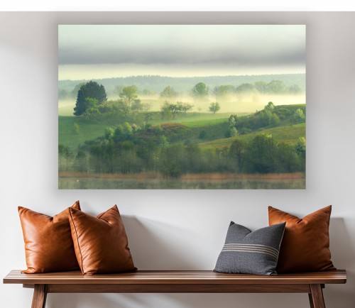 obraz na płótnie canvas mgła las drzewa mazury