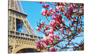 obraz na płótnie canvas KWIATY PARYŻ