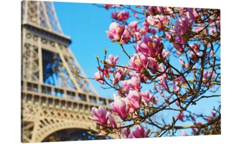 obraz na płótnie canvas KWIATY PARYŻ