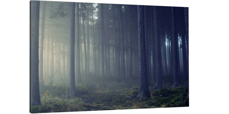 LAS MGŁA NATURAo-1055.jpg