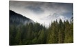 obraz na płótnie canvas Las Natura Mgła