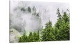 obraz na płótnie canvas Las Szczyty Mgła