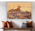 obraz na płótnie canvas LEOPARD AFRYKA
