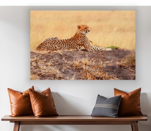 obraz na płótnie canvas LEOPARD AFRYKA