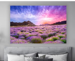 obraz na płótnie canvas LAWENDA WIDOK POLE