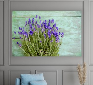 obraz na płótnie canvas LAWENDA KWIATY
